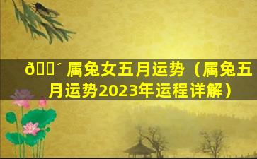 🐴 属兔女五月运势（属兔五月运势2023年运程详解）